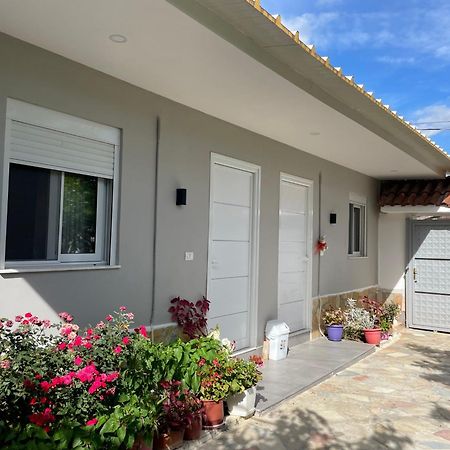 Guest House Luli Strumi Berat Esterno foto